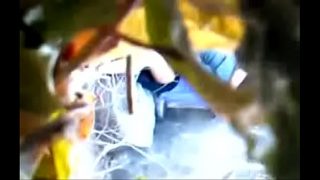 Cewek cantik kepergok mesum di belakang sekolah Full https://ouo.io/UP93U6