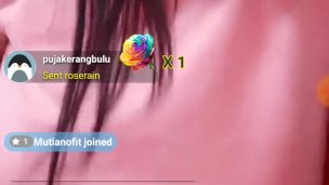 Gogo live indo