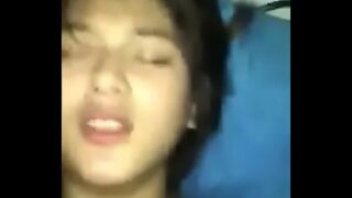 Guria indonésia levando rola